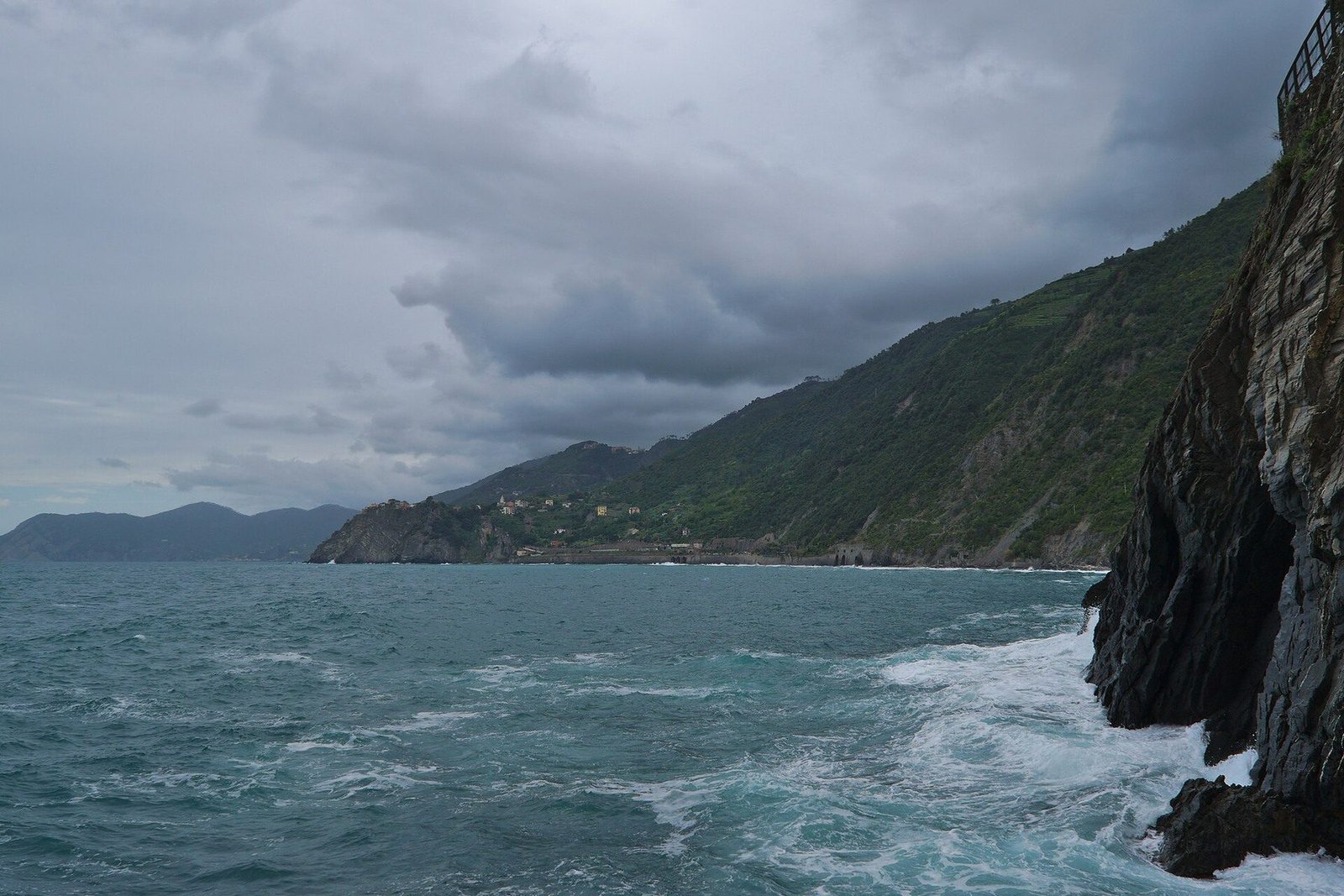 Manarola · tarasowe winnice